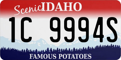 ID license plate 1C9994S