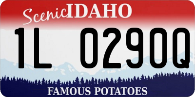 ID license plate 1L0290Q