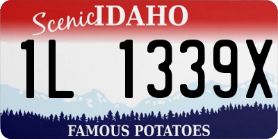 ID license plate 1L1339X