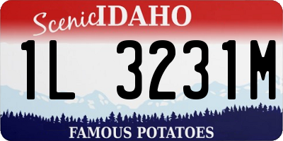 ID license plate 1L3231M