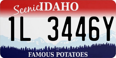 ID license plate 1L3446Y