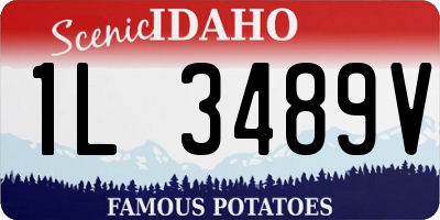 ID license plate 1L3489V