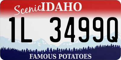 ID license plate 1L3499Q