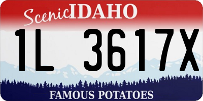 ID license plate 1L3617X