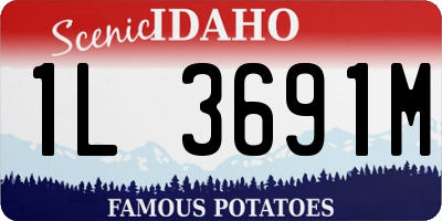 ID license plate 1L3691M