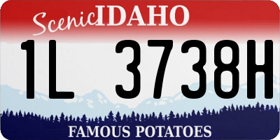 ID license plate 1L3738H