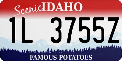 ID license plate 1L3755Z