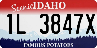 ID license plate 1L3847X