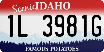 ID license plate 1L3981G