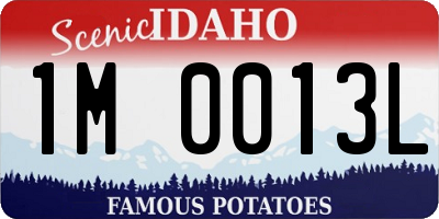 ID license plate 1M0013L