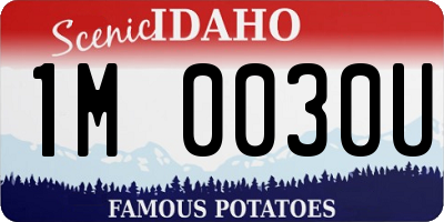 ID license plate 1M0030U