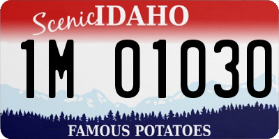 ID license plate 1M0103O