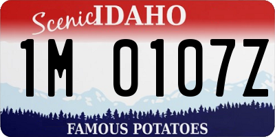 ID license plate 1M0107Z