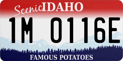 ID license plate 1M0116E