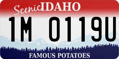 ID license plate 1M0119U