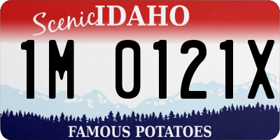 ID license plate 1M0121X