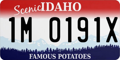 ID license plate 1M0191X