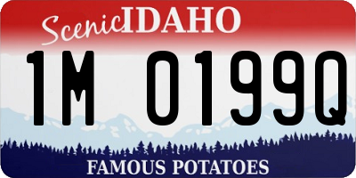 ID license plate 1M0199Q