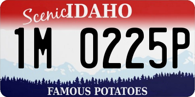 ID license plate 1M0225P