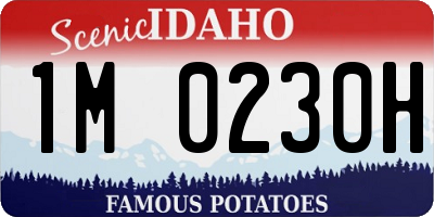 ID license plate 1M0230H
