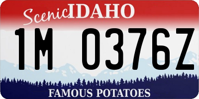 ID license plate 1M0376Z
