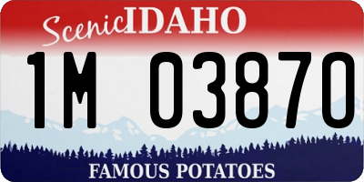 ID license plate 1M0387O
