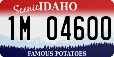 ID license plate 1M0460O