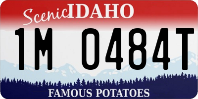 ID license plate 1M0484T