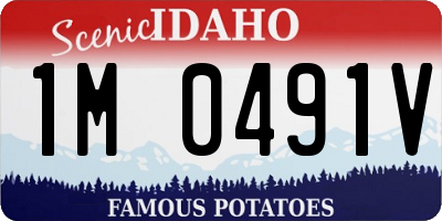 ID license plate 1M0491V