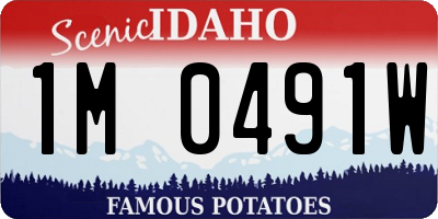 ID license plate 1M0491W