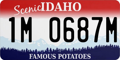 ID license plate 1M0687M