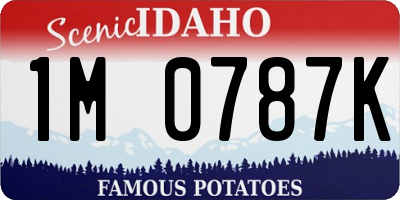 ID license plate 1M0787K