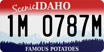 ID license plate 1M0787M