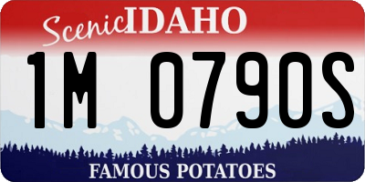 ID license plate 1M0790S