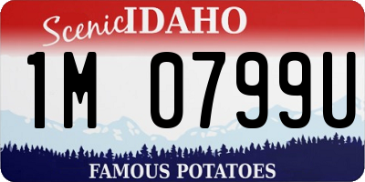 ID license plate 1M0799U