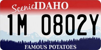 ID license plate 1M0802Y