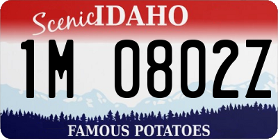 ID license plate 1M0802Z