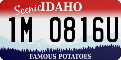 ID license plate 1M0816U