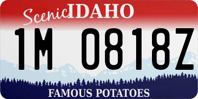 ID license plate 1M0818Z