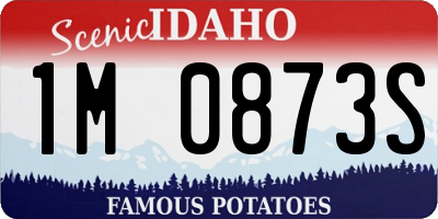 ID license plate 1M0873S