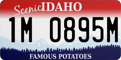 ID license plate 1M0895M
