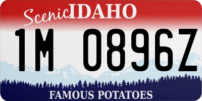 ID license plate 1M0896Z