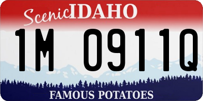 ID license plate 1M0911Q