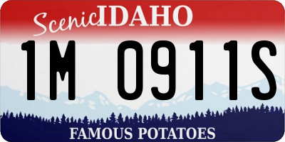 ID license plate 1M0911S