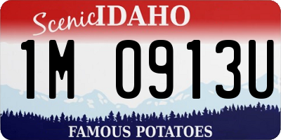 ID license plate 1M0913U