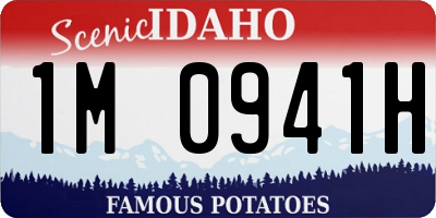 ID license plate 1M0941H