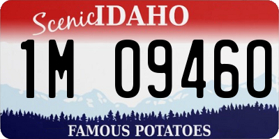 ID license plate 1M0946O