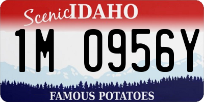 ID license plate 1M0956Y
