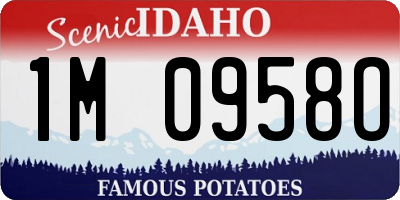 ID license plate 1M0958O