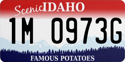 ID license plate 1M0973G